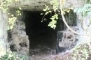 troglodyte